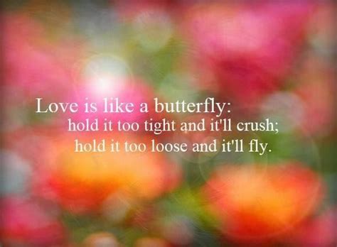 Love Like Butterfly Quotes Collection Of Inspiring