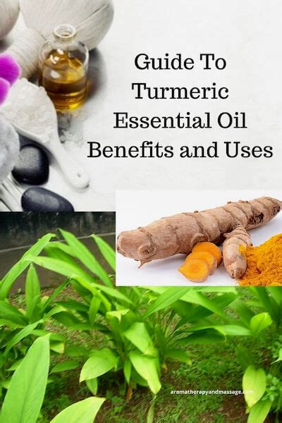 Turmeric Essential Oil Benefits And Uses In Aromatherapy