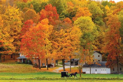 I Went To School In The Hocking Hills Autumn Has Such Nostalgia Filled