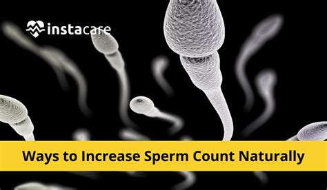 6 ways to increase sperm count quickly and naturally