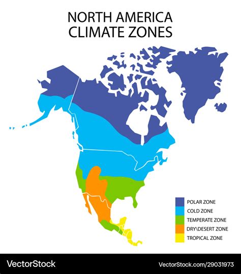North America Climate Zones Map Geographic Vector Image