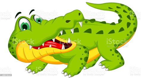 Cute Crocodile Cartoon Posing Stock Vector Art And More