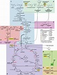 Fig. S5. Schematic summary of major central metabolic pathways ...