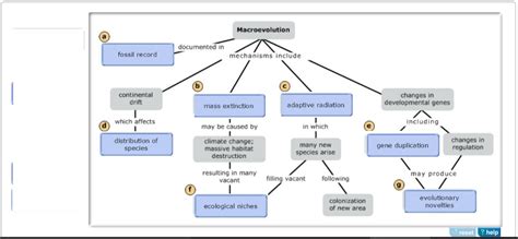 Can You Complete This Concept Map That Reviews Some Key Ideas About