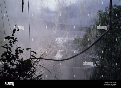 Heavy Rainfall In The Amazon Rain Forest Stock Photo Alamy