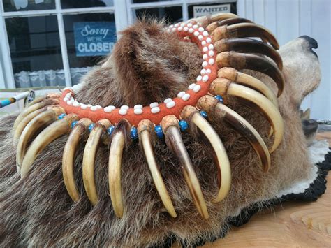 Pin By Klaus Fehrenbach On Grizzly Claws Bear Claw Necklace Native