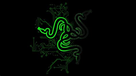 Green Razer Logo In Black Background Hd Razer Wallpapers Hd