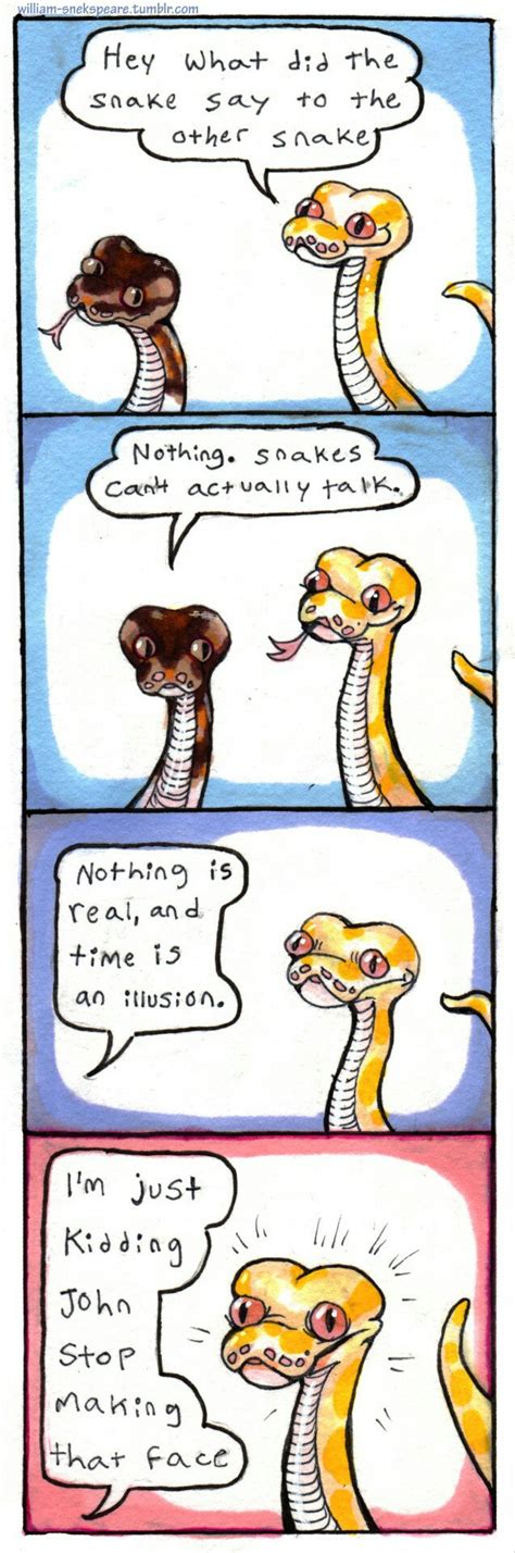 Time Is An Illusion So Deep For A Snek Cute Funny Animals Cute