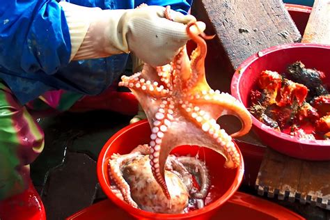 South Korea Masan Market Octopus 24g The Octopus Flickr