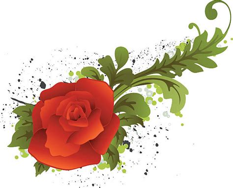 Rose Vines Clip Art Illustrations Royalty Free Vector Graphics And Clip