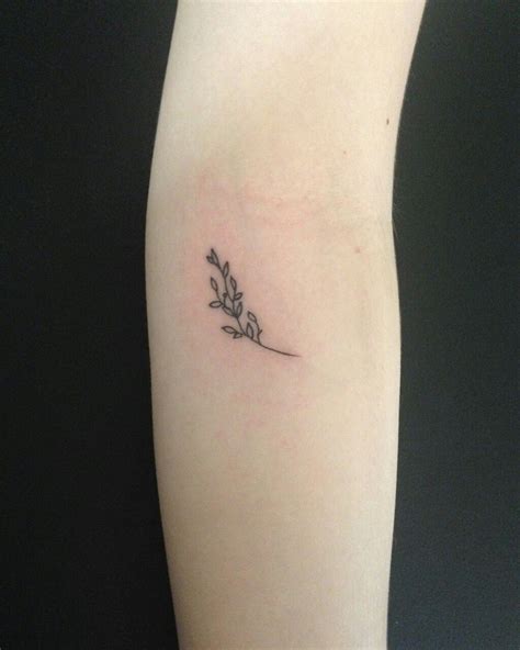 Olive Branch Tattoo More Olive Tree Tattoos Olive Tattoo Olive Branch