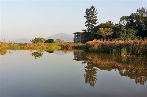 Hong Kong Wetland Park New Territories Attractions Go Guides