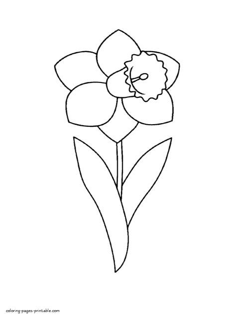 24 Pictures Of Daffodils To Color Free Coloring Pages