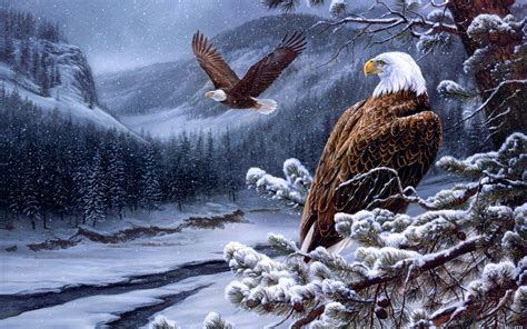 Bald Eagle Wallpapers Wallpaper Cave