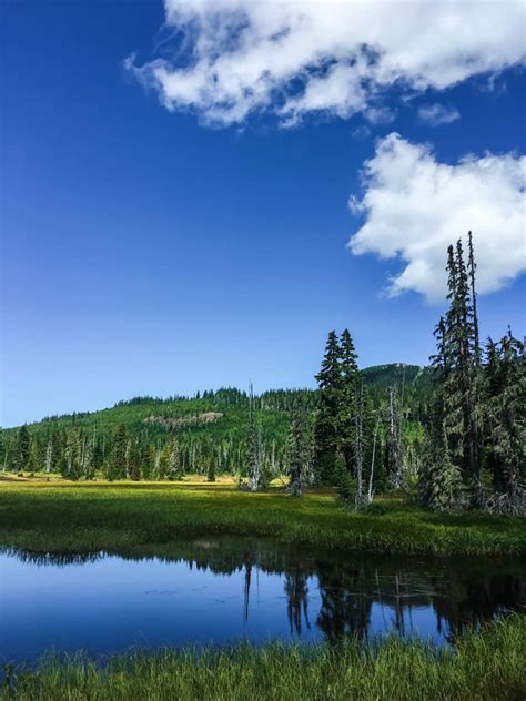 Travel To Mount Washington On Vancouver Island In Summer Harbour Breeze