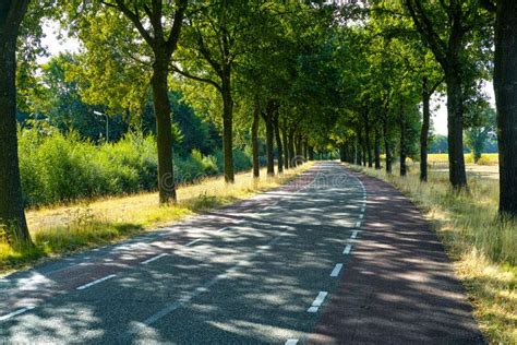 Transportation In Netherlands Roads With Bicycle Paths And Whit Stock