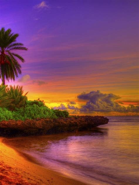 Free Download Sunrise Tropical Beach 15592 Wallpaper