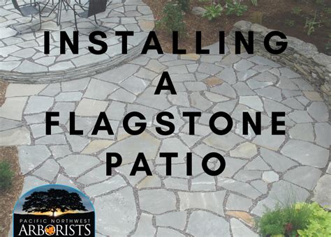 How To Install A Flagstone Patio Pacific Northwest Arborist