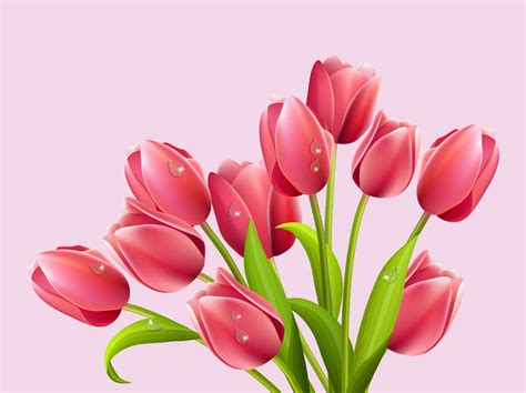 Image Of Tulips