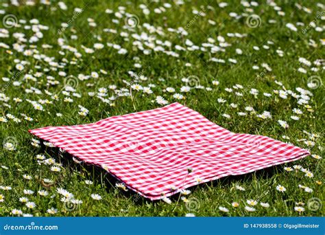 Picnic Background Red Checkered Picnic Cloth On A Daisy Meadow With