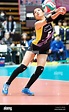 Tokyo, Japan. 25th Dec, 2016. Arisa Sato () Volleyball : All Japan ...