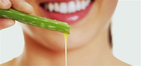 235 x 285 jpeg 11 кб. 10 Aloe Vera Face Packs For Different Skin Types