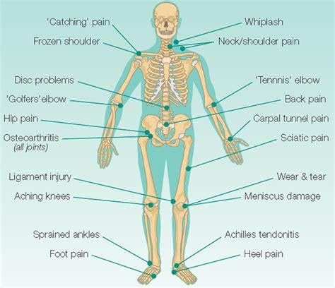 Muscles and other body mass. Magnetic Resonance Therapy (MRT) - The Bodyworks Clinic Marbella Spain