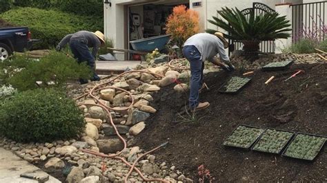 How Much Does A Landscape Install Really Cost