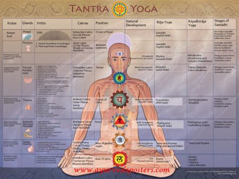 Tantra Yoga Poster Ayurveda Posters
