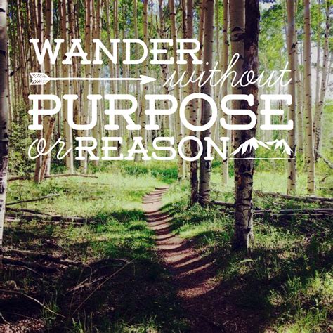 Wander without purpose or reason | Colorado | Explore nature, Nature ...