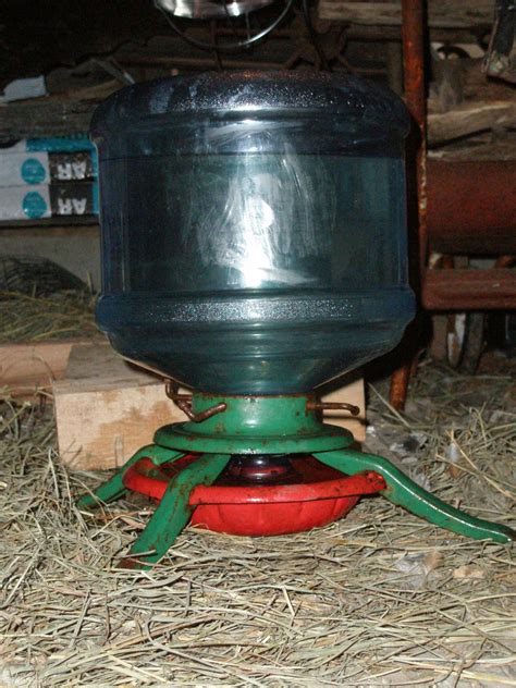 My Super Fancy Watering System Backyard Chickens