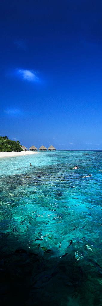 Maldives The Atolls Of The Maldives Encompass A
