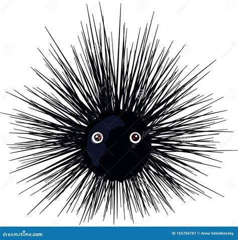 Urchin Stock Vector Illustration Of Smiling Waif Aquatic 165704787