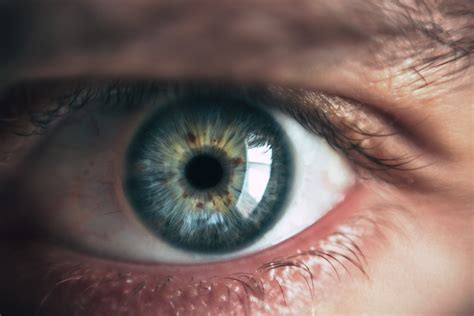 How To Spot Cataracts Early Beyond Vision
