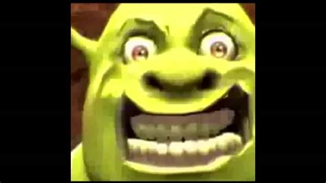 Shrek Montage 3 Youtube