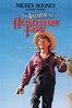 The Adventures of Huckleberry Finn (1939) - Posters — The Movie ...