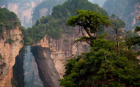 Zhangjiajie National Park In China Hd Wallpaper Background Image
