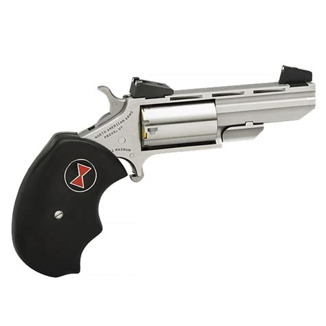 Naa Black Widow 22 Lr 2in Stainless Steel 5rd 30299 Free Sh On