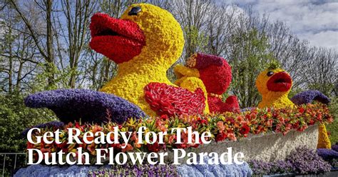 The Dutch Flower Parade Is Coming Soon Article Onthursd