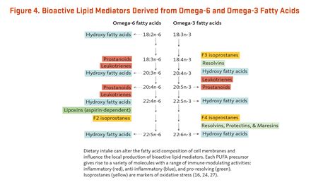 Essential Fatty Acids Linus Pauling Institute Oregon State University