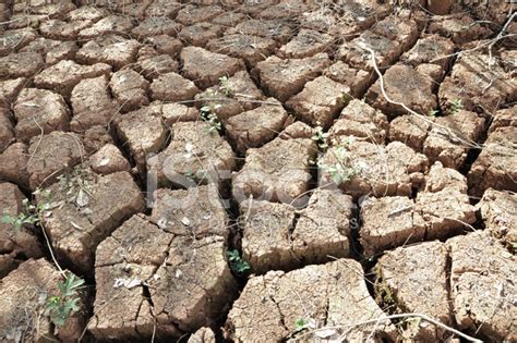 Dry Cracked Soil Stock Photo Royalty Free Freeimages