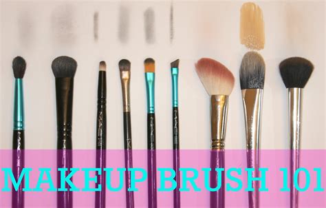 blushing basics makeup brush 101