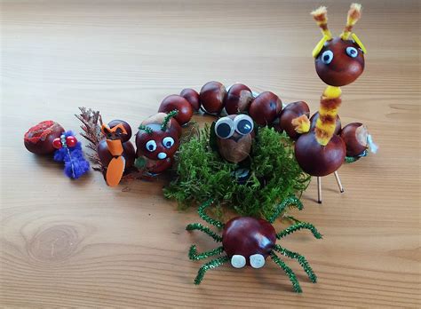 Top 5 Things To Do With Conkers For Kids Conkers Game And Diys