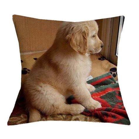 Golden Retriever Puppy On Blanket Pillow Cases Retriever Puppy Baby