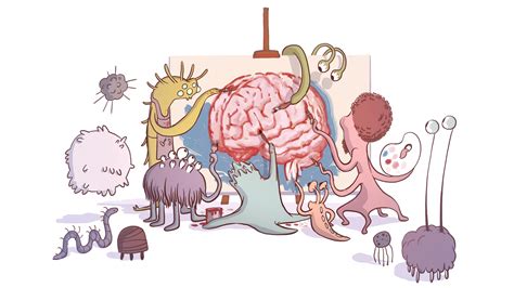 Gut Bacteria Might Guide The Workings Of Our Minds Wusf News
