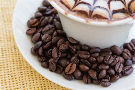 무료 이미지 단 커피 콩 무늬 식품 편하게 하다 생기게 하다 마실 것 음주 우유 커피 컵 맛있는 거품 아침에 카페인 미술 휴가 뜨거운 예쁜