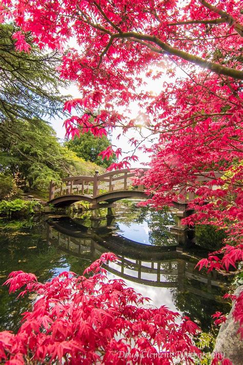 Paisagens Lindas Da Natureza Com Flores Shop Plantas E Flores Artificiais