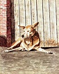 Daisy Dog Painting by Wendy McKennon - Fine Art America
