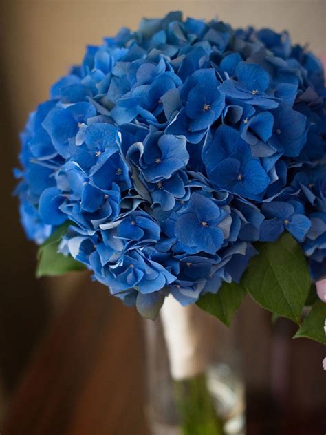 The Best Blue Wedding Flowers And 16 Gorgeous Blue Bouquets Blue