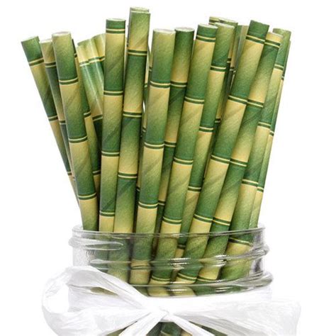 Bamboo Print Paper Straws 24 Survivor Party